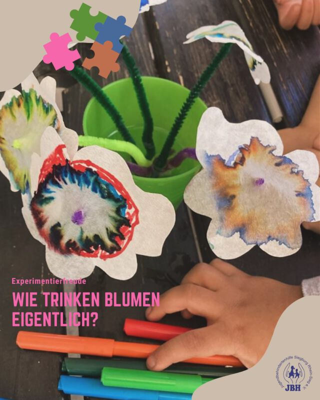 🌸 Experimentierfreude! 🌿
Wir haben erforscht, wie Blumen ihr Wasser trinken – und das mit einem tollen DIY-Experiment! 💧✨
Aus Filterpapier wurden bunte Blüten gebastelt, angemalt, auf Pfeifenreiniger gesteckt und ins Wasser gestellt. Und siehe da: Das Wasser wanderte nach oben und färbte unsere Papierblüten mit wunderschönen Mustern! 🎨🌈
Die Kinder waren begeistert – ein faszinierender Einblick in die Welt der Pflanzen! 🌼🧪
#ExperimentierenMitKindern #NaturEntdecken #KitaAlltag #Wassertransport #KreativMitKindern #JBHSiegburg